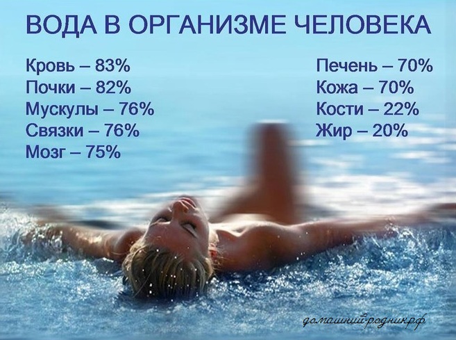 лучший фильтр для воды под мойку как выбрать